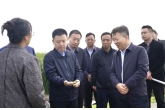 仵江副市長(cháng)一行赴西安農投集團曲水稻香項目部調研項目建設推進(jìn)